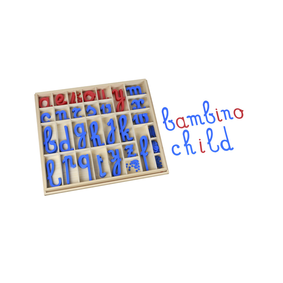 Movable Alphabet: European Cursive W/Box | GAM - JoyKidz
